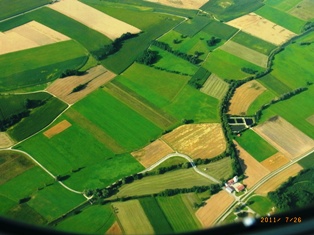 e0195766_295824.jpg