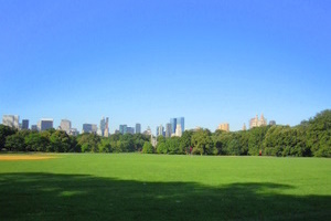 d0233672_221043.jpg