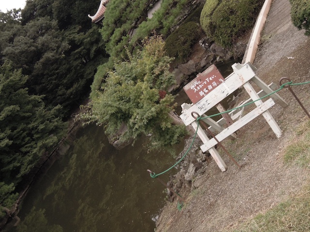 d0189176_2331946.jpg
