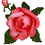 f0213476_6591170.gif