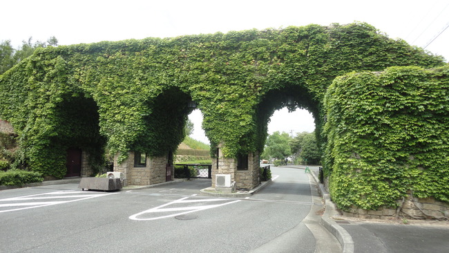 e0024081_1222183.jpg