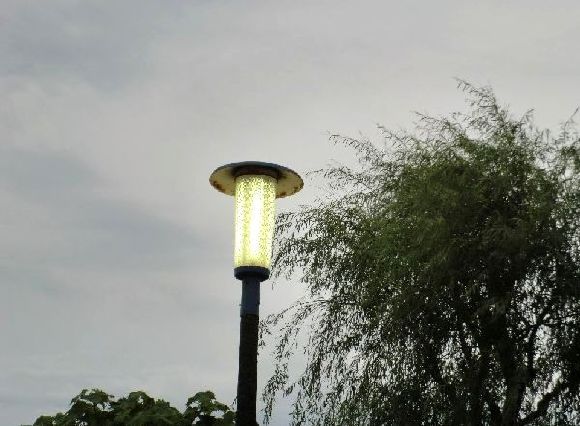 e0143690_9362062.jpg