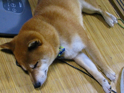f0181394_23523181.jpg