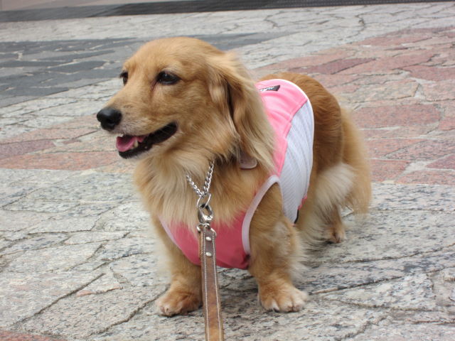 d0098295_23304631.jpg