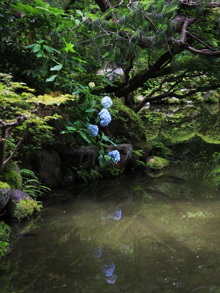 c0228404_352142.jpg