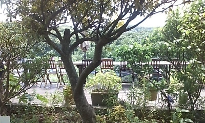 f0187704_15133237.jpg