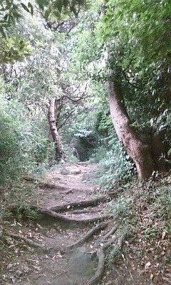 f0187704_15264434.jpg