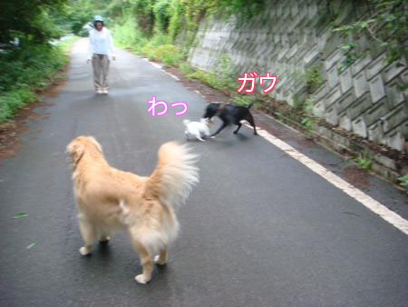 f0064906_1742099.jpg