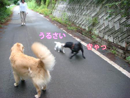 f0064906_17431723.jpg