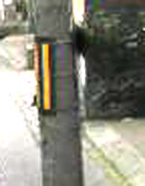 e0103408_1542239.jpg