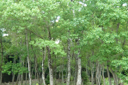f0221708_22542239.jpg