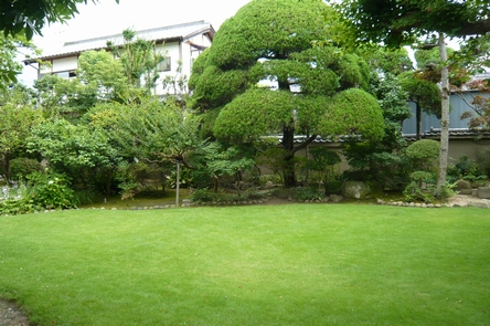 f0221708_2304072.jpg
