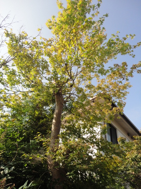 f0231709_89882.jpg
