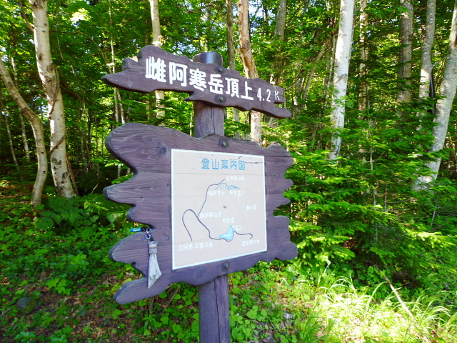 d0170615_133045.jpg