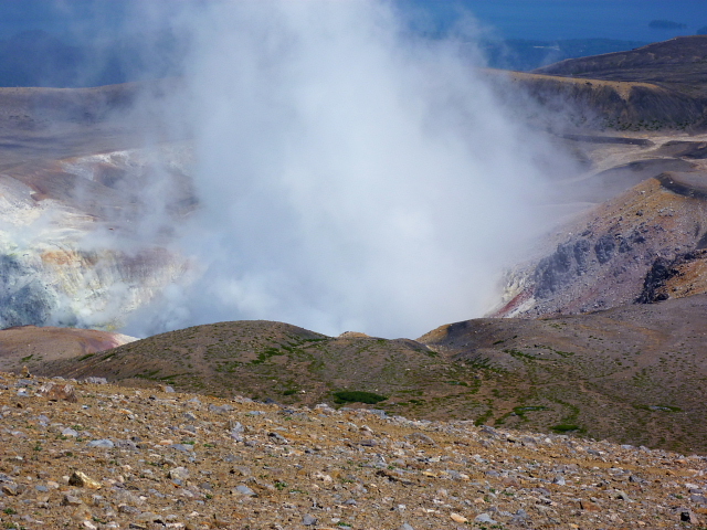 d0170615_135226.jpg