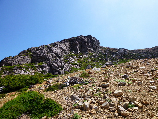 d0170615_1354822.jpg