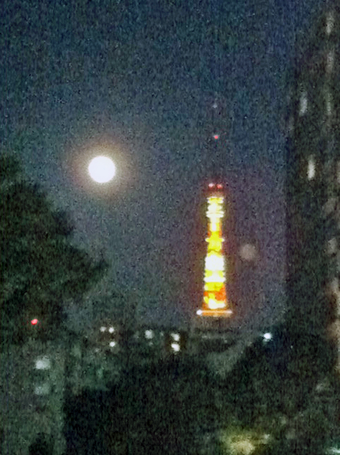 e0109817_86593.jpg