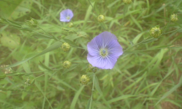 e0227023_2358547.jpg