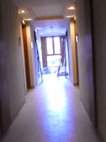 e0139926_1737545.jpg