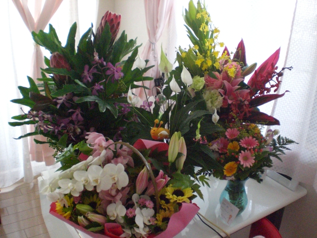 c0201427_2083393.jpg