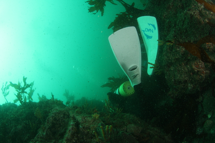 c0034029_5571350.jpg