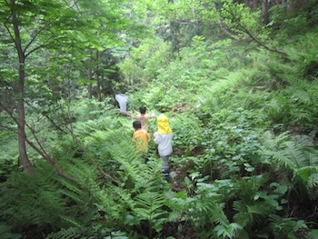 d0040729_171892.jpg