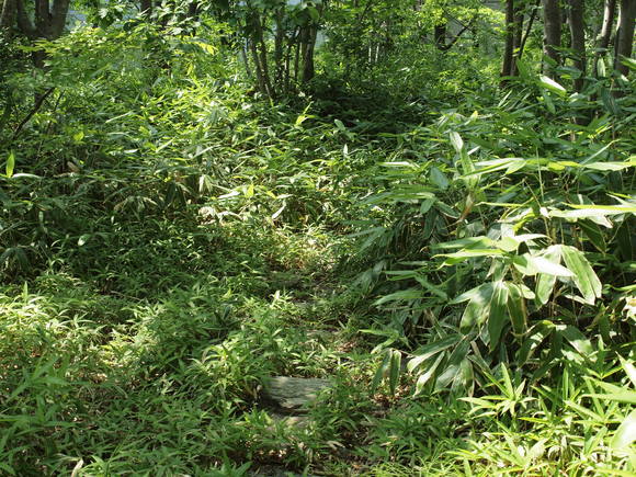 b0220034_11313259.jpg