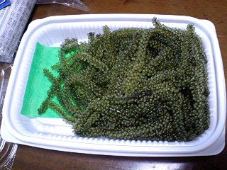 f0210439_020422.jpg