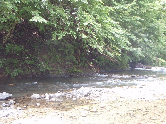 e0202845_15252356.jpg