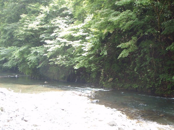 e0202845_15355235.jpg