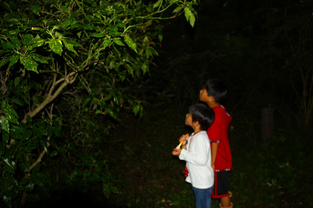 f0155954_11171013.jpg