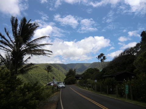 e0033156_12442949.jpg