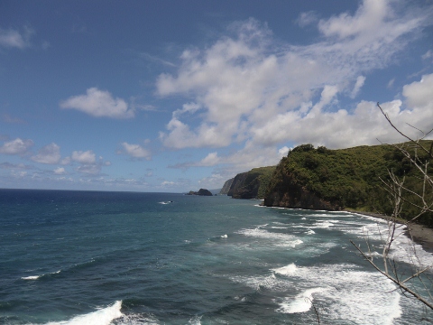 e0033156_12482479.jpg