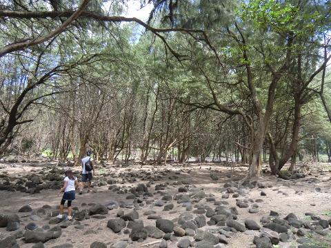 e0033156_12512618.jpg