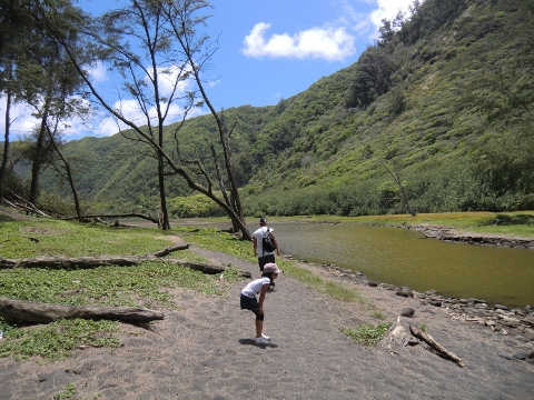 e0033156_12515577.jpg