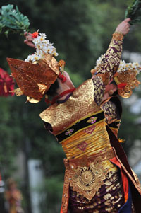 c0170558_525386.jpg