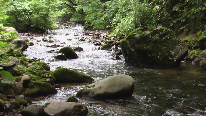 b0208961_1744475.jpg