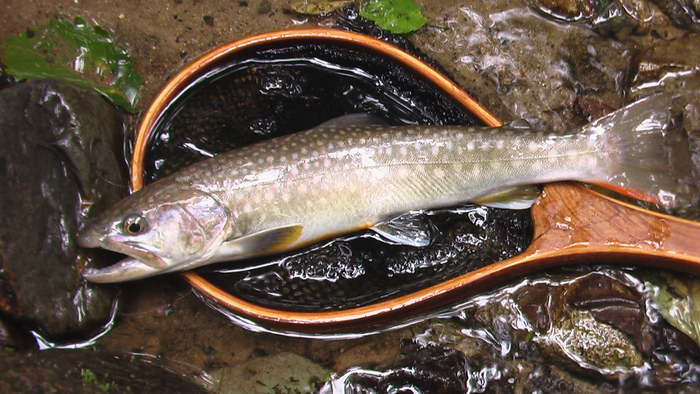 b0208961_17455755.jpg
