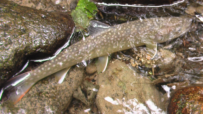 b0208961_17463556.jpg