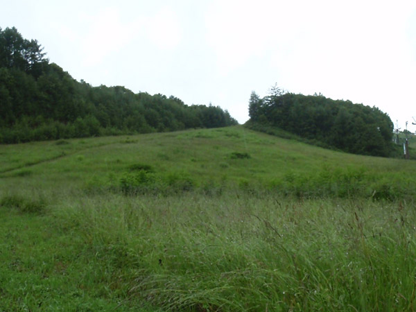 c0110361_164585.jpg