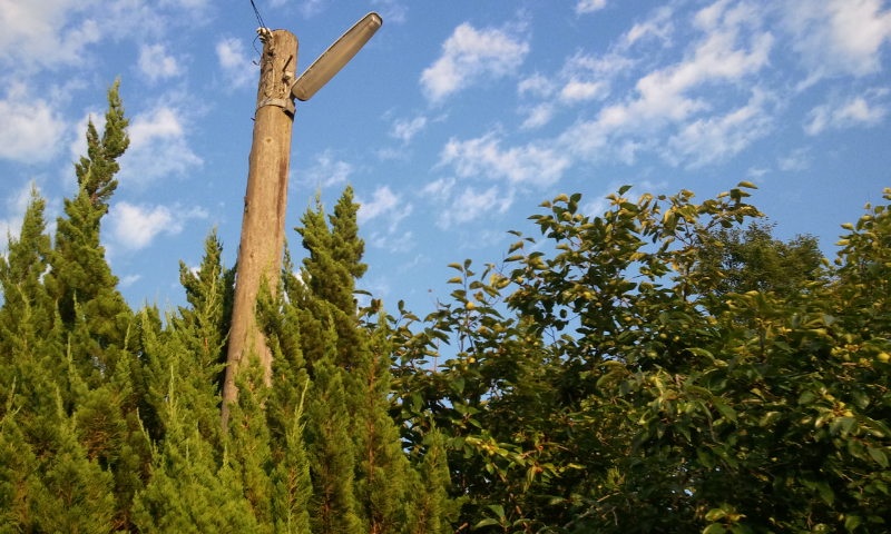 b0151268_96513.jpg