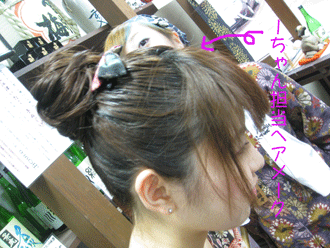 d0050871_11374264.gif