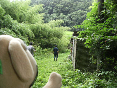 c0158573_1556672.jpg