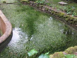f0005081_2165567.jpg