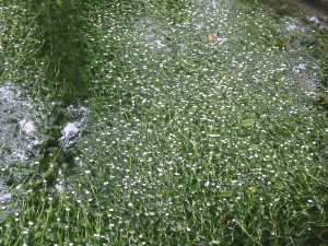 f0005081_2173547.jpg