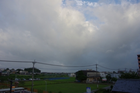 a0189883_1157662.jpg