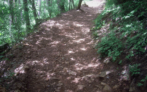 b0099994_177164.jpg