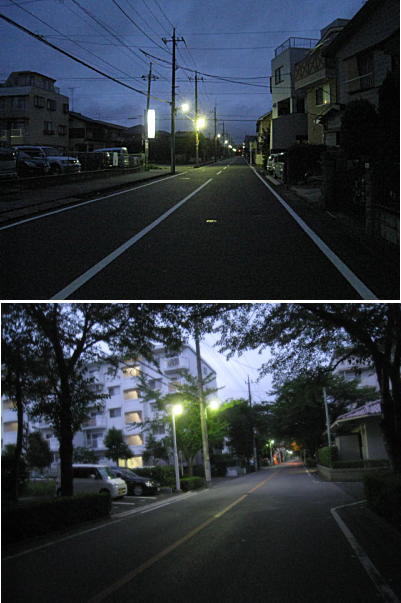 d0046702_774699.jpg