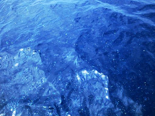 e0123808_2124329.jpg