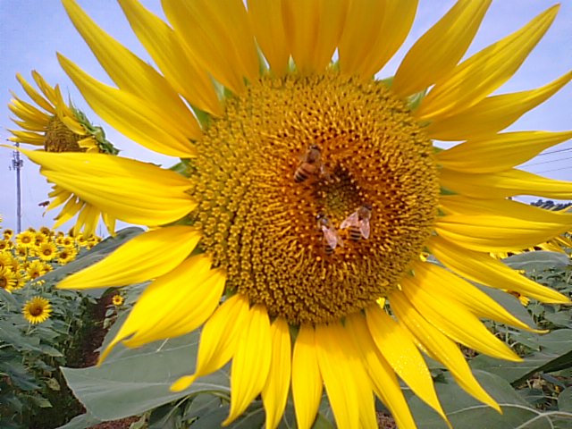 f0231709_10504255.jpg